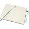 Блокнот MOLESKINE Classic Large, клетка, зелёный