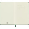 Блокнот MOLESKINE Classic Large, клетка, зелёный