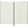 Блокнот MOLESKINE Classic Large, клетка, зелёный