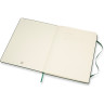 Блокнот MOLESKINE Classic Large, в линейку, зелёный