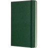 Блокнот MOLESKINE CLASSIC Large, нелинованный, зелёный
