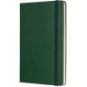 Блокнот MOLESKINE Classic Large, пунктир, зелёный