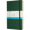 Блокнот MOLESKINE Classic Large, пунктир, зелёный QP066K15