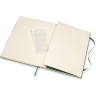 Блокнот MOLESKINE Classic XLarge, в линейку, зелёный