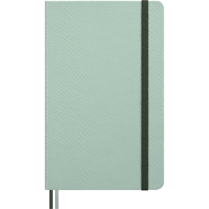 Блокнот MOLESKINE LIMITED EDITION YEAR OF THЕ SNAKE LECNYSNKVEGMBOX линейка мятный