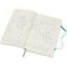 Ежедневник MOLESKINE CLASSIC SOFT LARGE (мятный) DSK4612DC3