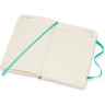 Ежедневник MOLESKINE CLASSIC SOFT POCKET (мятный) DSK4612DC2