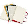 Еженедельник MOLESKINE Academic Soft WKNT Pocket, красный