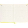 Еженедельник MOLESKINE CLASSIC WKNT XL DHM612WN4Y23 горчичный