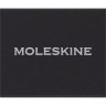 Шильд-символ MOLESKINE PINAQUARIUSSILV водолей